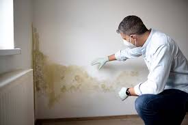 Best Biohazard Mold Removal  in Pickerington, OH